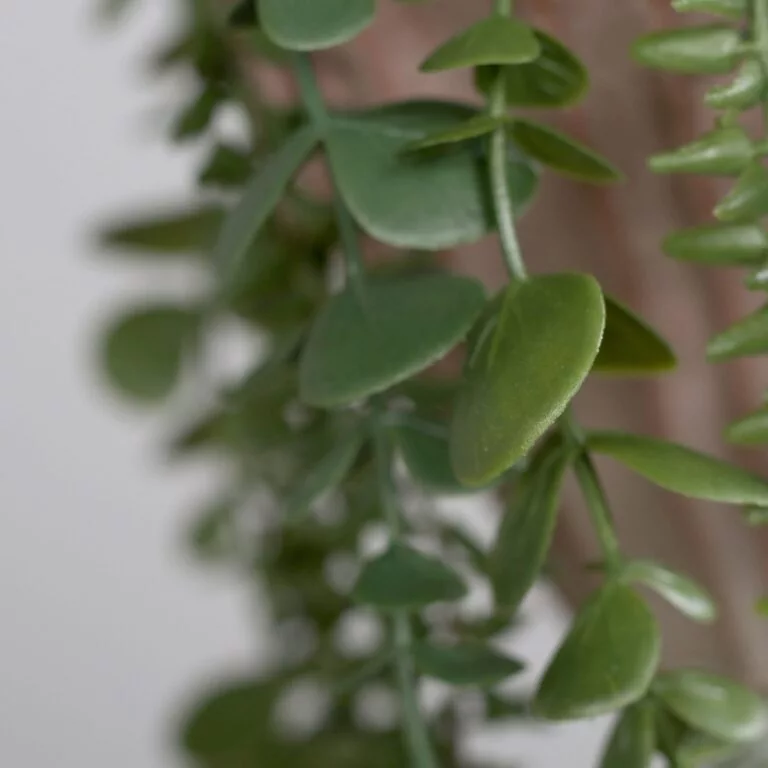 Succulent eucalyptus arrangement in decorative plastic pot for hanging