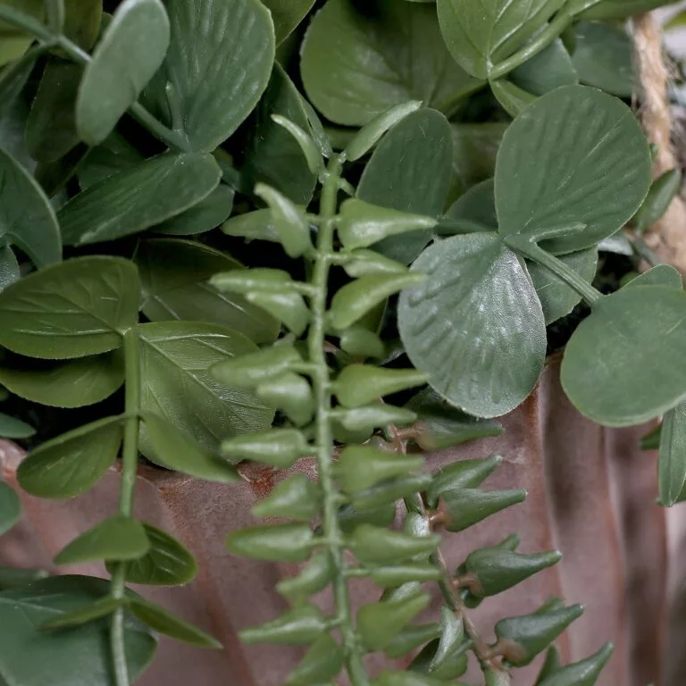 Succulent eucalyptus arrangement in decorative plastic pot for hanging
