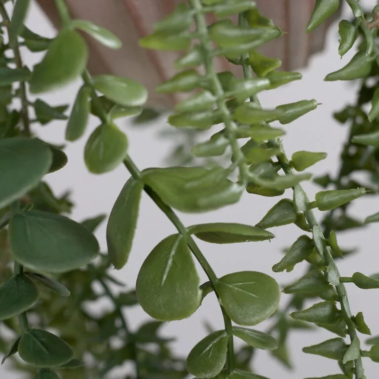 DPI Succulent eucalyptus arrangement in decorative plastic pot for hanging for sale in Ireland at The Outdoor Scene