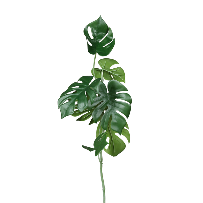 DPI Monstera - 80cm for sale in Ireland at The Outdoor Scene