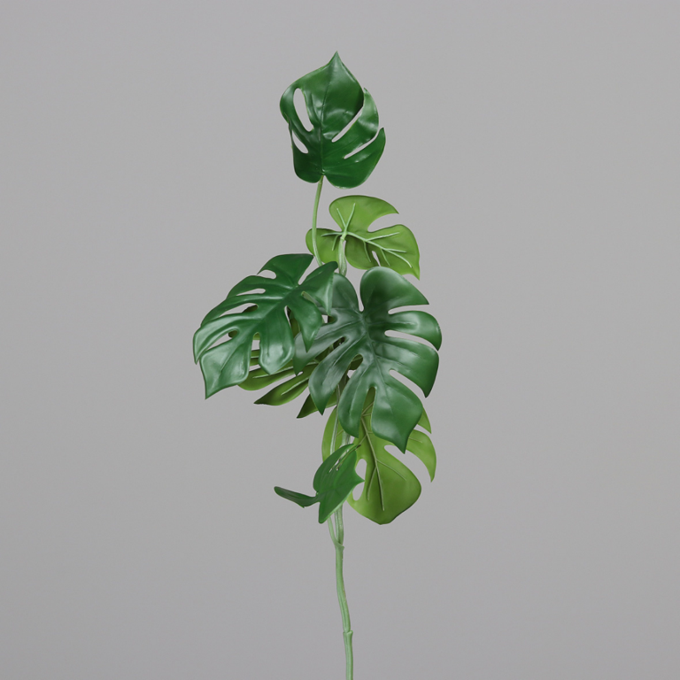 DPI Monstera - 80cm for sale in Ireland at The Outdoor Scene