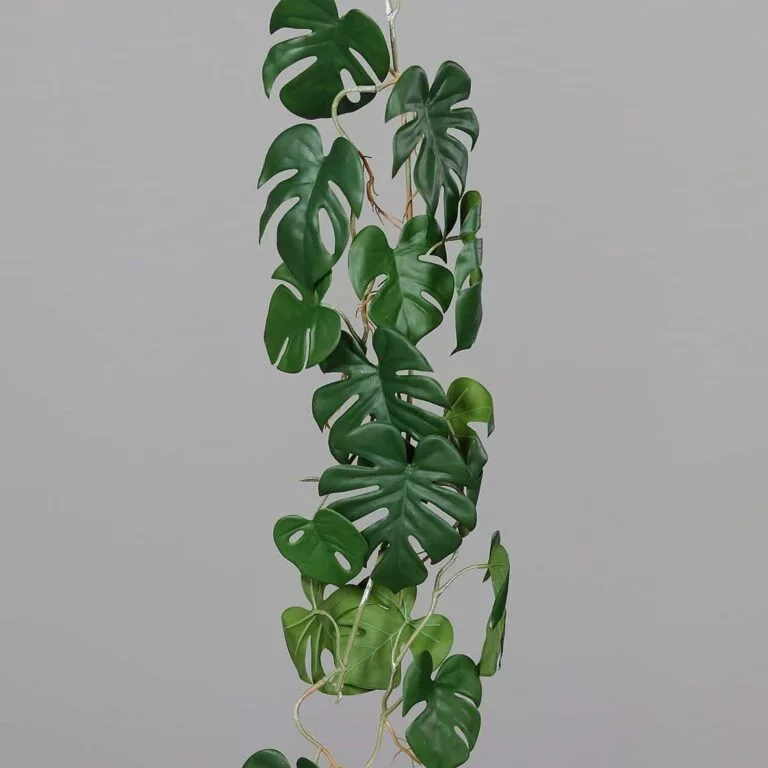 DPI Monstera tendril - 115 cm for sale in Ireland at The Outdoor Scene