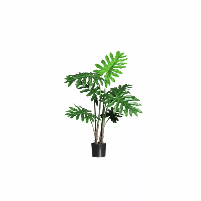 DPI Philodendron plant in Black Plastic Pot 85cm for sale in Ireland at The Outdoor Scene
