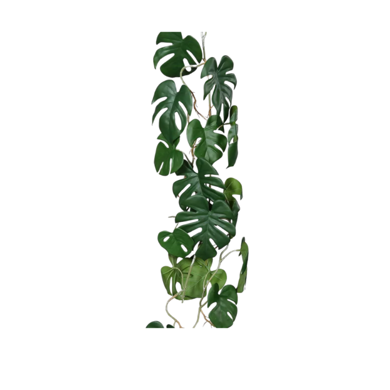 DPI Monstera tendril - 115 cm for sale in Ireland at The Outdoor Scene