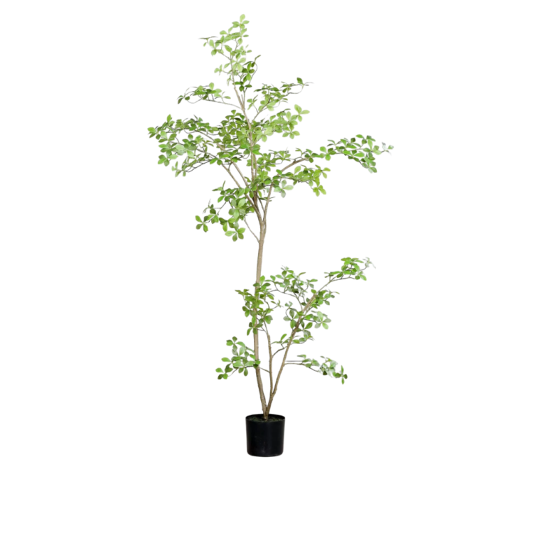 210cm Ficus Mircocarpa Artificial Tree for sale in Ireland at The Outdoor Scene