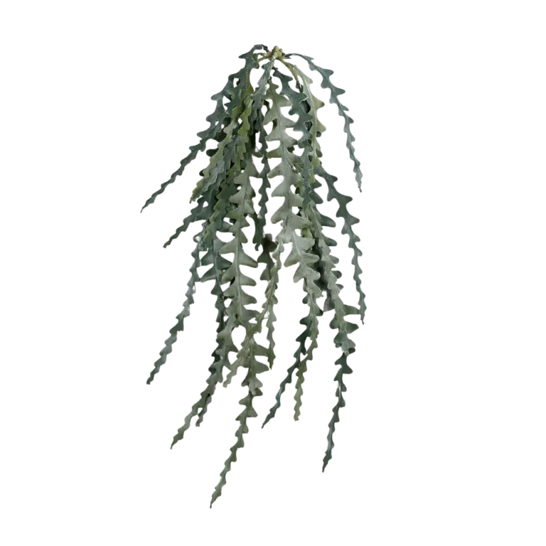 Succulent hanger for sale in Ireland