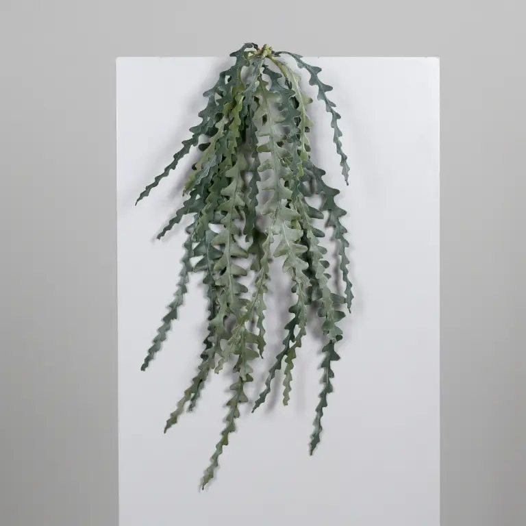 Succulent hanger for sale in Ireland