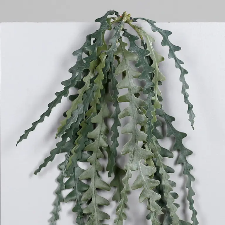 Succulent hanger available at the Outdoor Scene