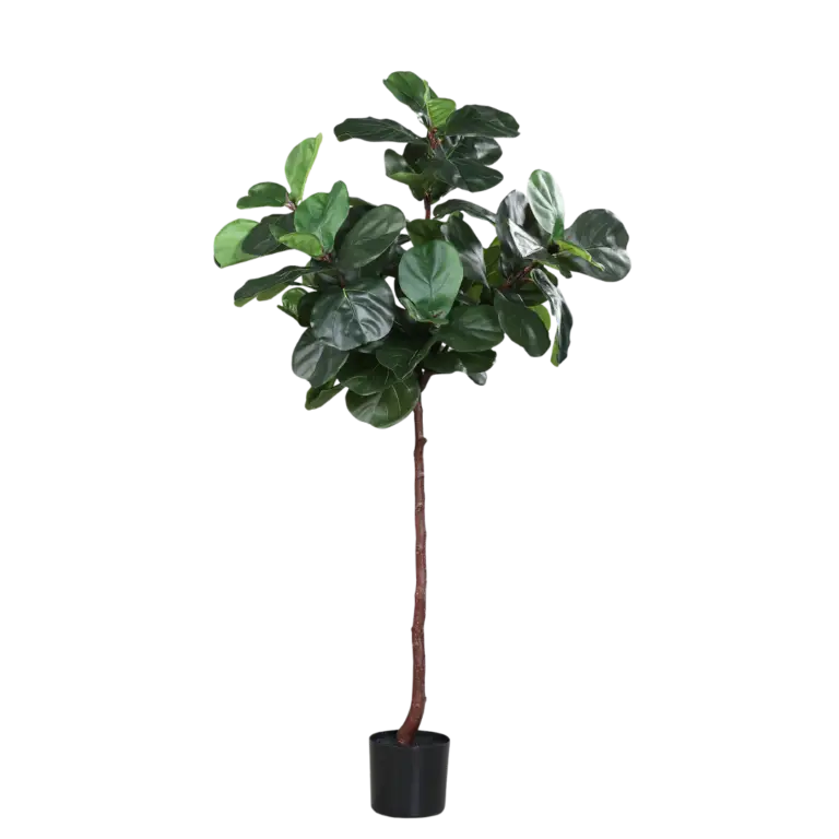 Artificial Violin fig in a black plastic pot for sale in Ireland