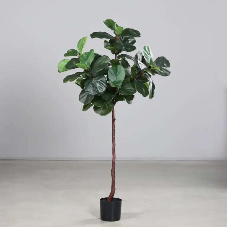 Artificial Violin fig in a black plastic pot for sale in Ireland