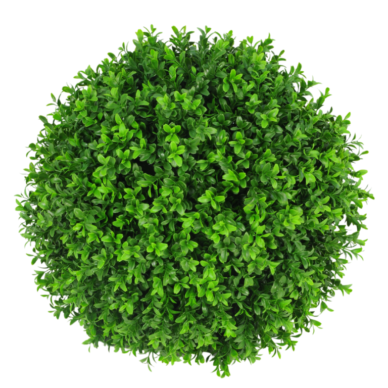 Plastic Boxwood Ball for sale in Ireland
