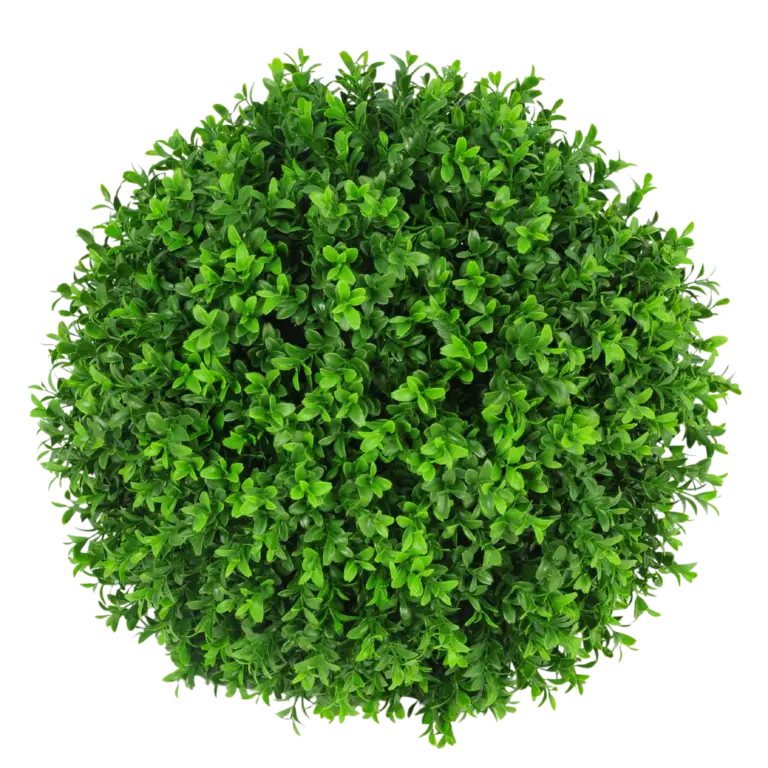 Plastic Boxwood Ball for sale in Ireland