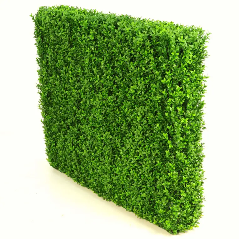 75 x 100 cm Plastic Boxwood Hedge for sale in Ireland