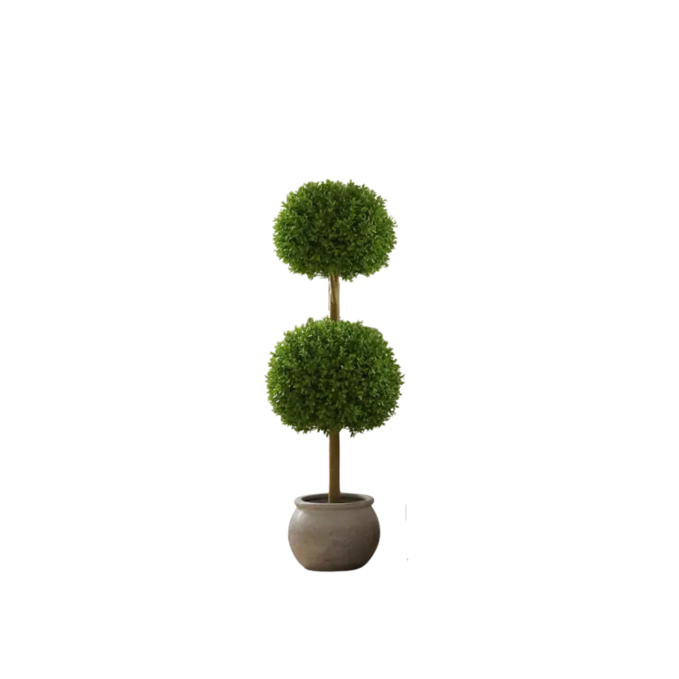 Plastic Boxwood Double Ball for sale in Ireland