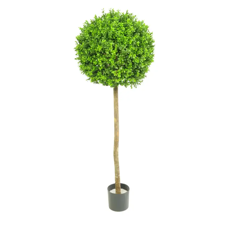 4ft Plastic Boxwood Ball Tree for sale