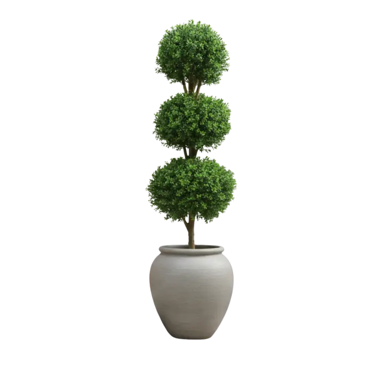 Plastic Boxwood Triple Ball for sale