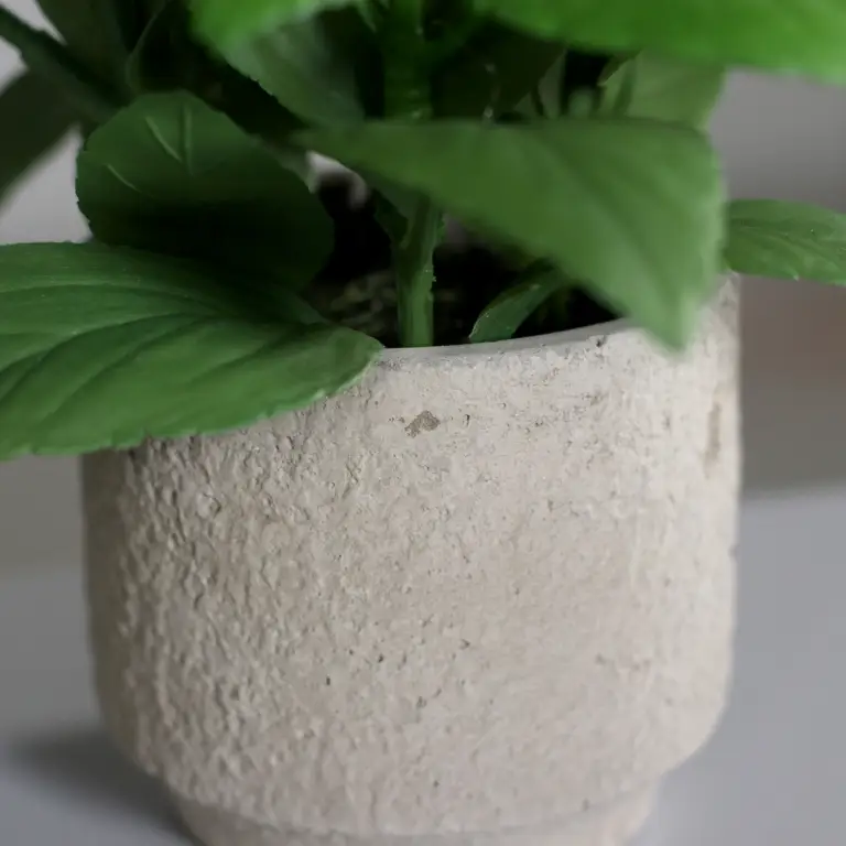 Close-up of grey cement pot