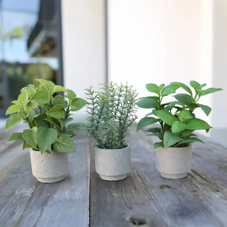 Decorative herb planter for kitchen and home decor