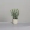 Rosemary