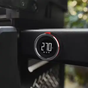 Stealth thermometer