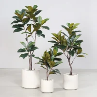 57763_A-jpg-1536x1536-1