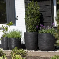 Capi-Nature-Rib-NL-black-KBLR782-KBLR783-KBLR932-KBLR933-KBLR935-2-scaled-1