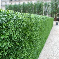 Paris-Rue-Boissiere-front-view-right-installed-6-768x768-1